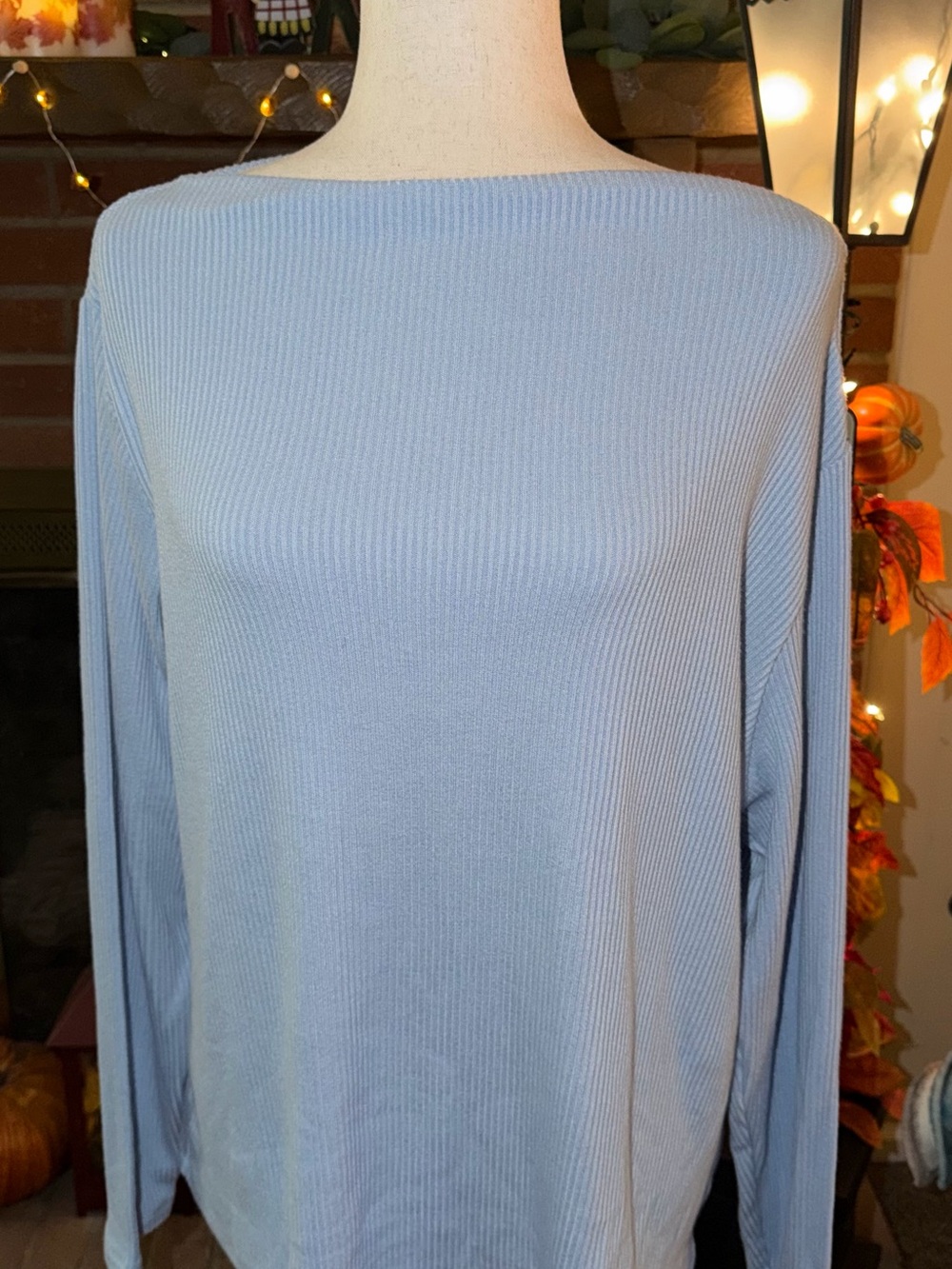 NWT Banana Republic XXL Light Blue Ribbed Boat Neck Long Sleeve Top